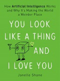 You look like a thing and I love you: how artificial intelligence works and why it's making the world a weirder place