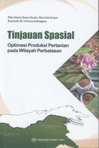 Tinjauan spasial optimasi produksi pertanian pada wilayah perbatasan