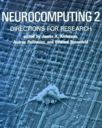 Neurocomputing 2 directions for research