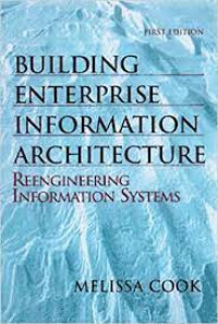 Building Enterprise Information Architectures