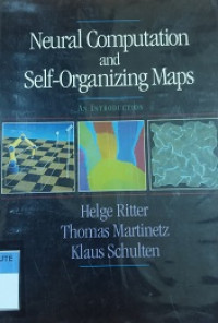 Neural computation and self-organizing maps