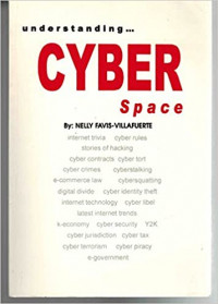 Understanding cyberspace