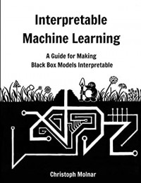 Interpretable machine learning: a guide for making black box models interpretable