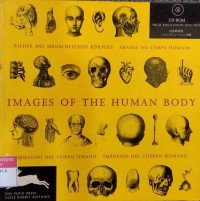 Images of The Human Body