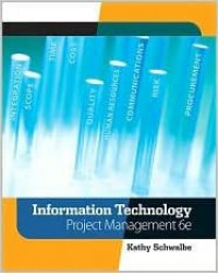 Image of Information technology project management